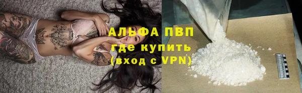 гашик Богданович