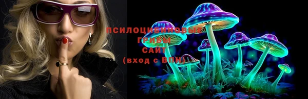 гашик Богданович
