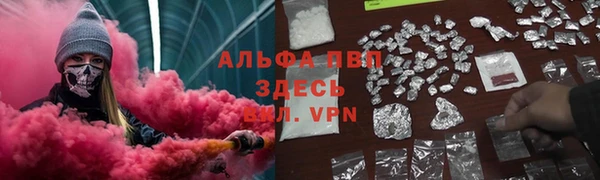 гашик Богданович
