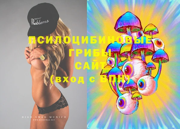 тгк Бородино