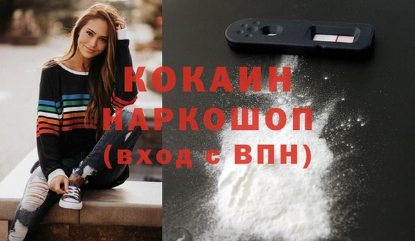 гашик Богданович
