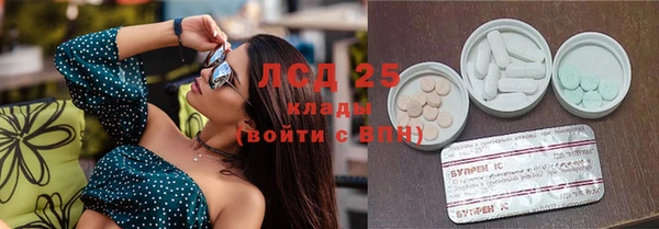 тгк Бородино